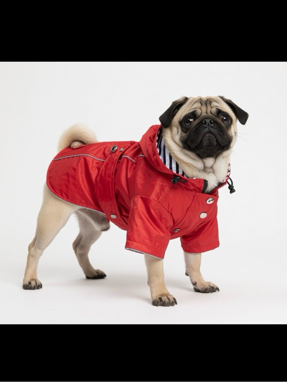 NWOT Red Dog Raincoat- size Medium